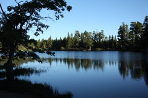 Picture of Jenks Lake