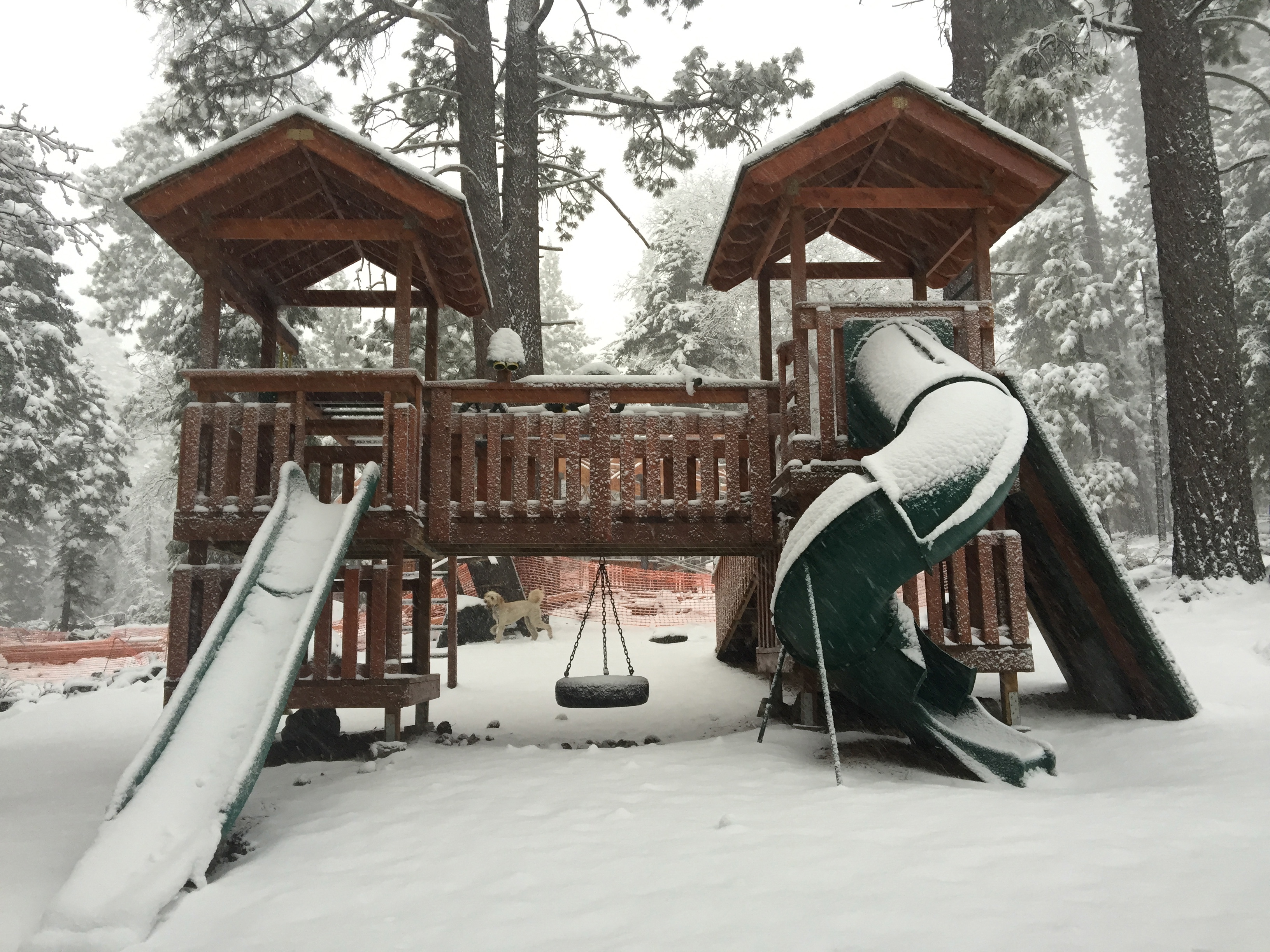 Playground IMG_1507