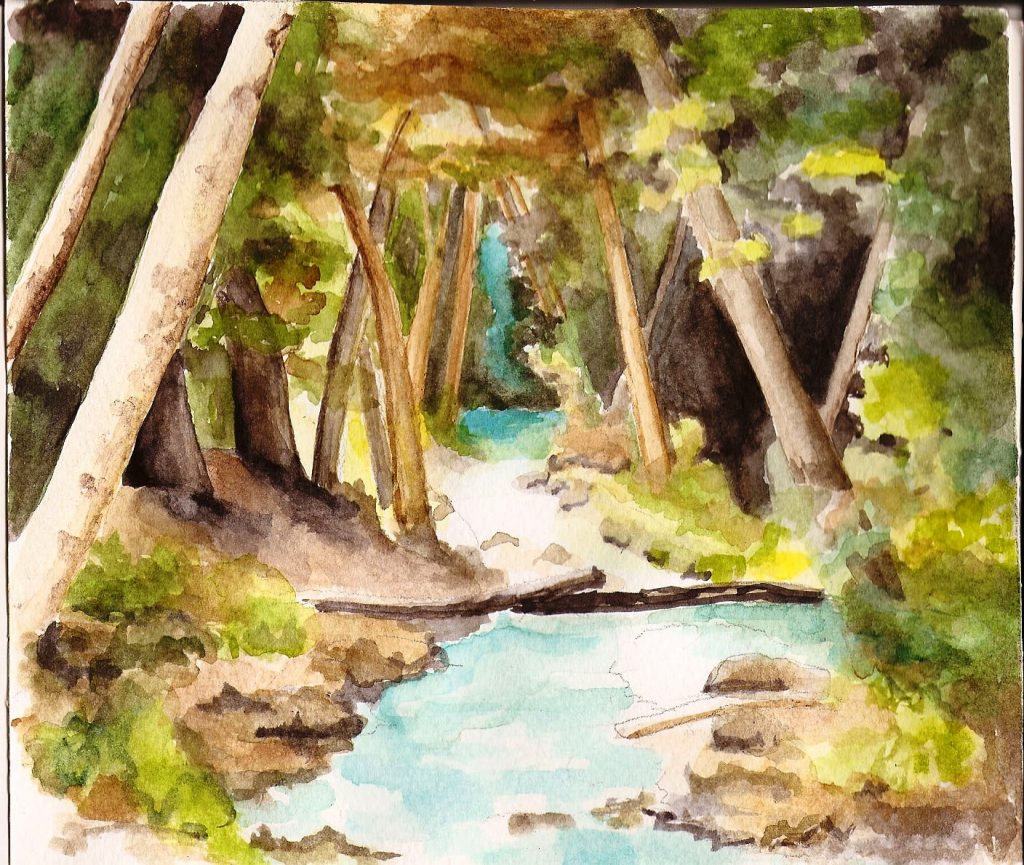 Forest scene with trees leaning over a meandering pond of crystal blue water.